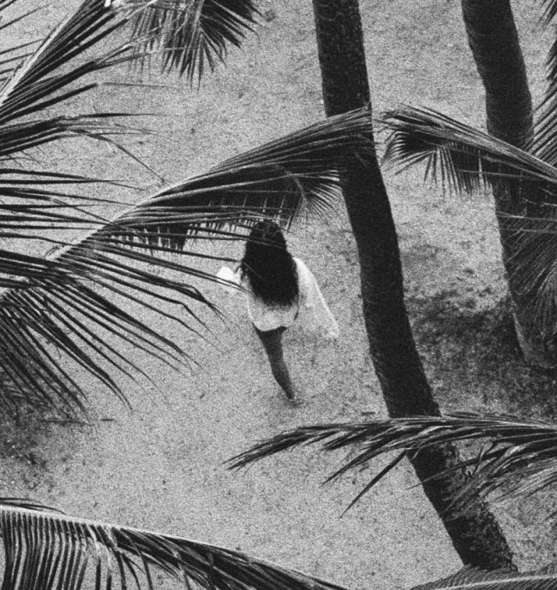 A quiet walk beneath tropical palms