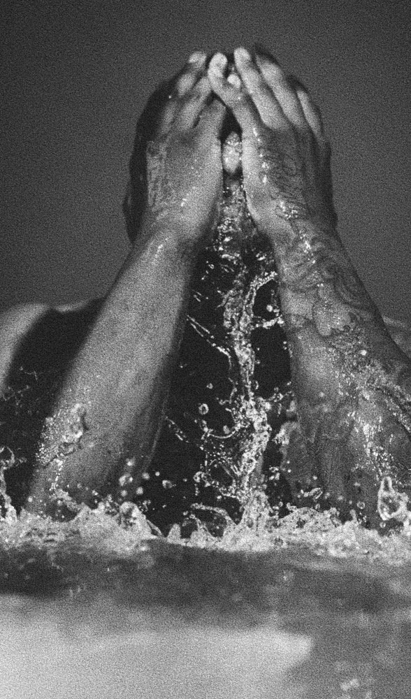 A moment of stillness in cool water